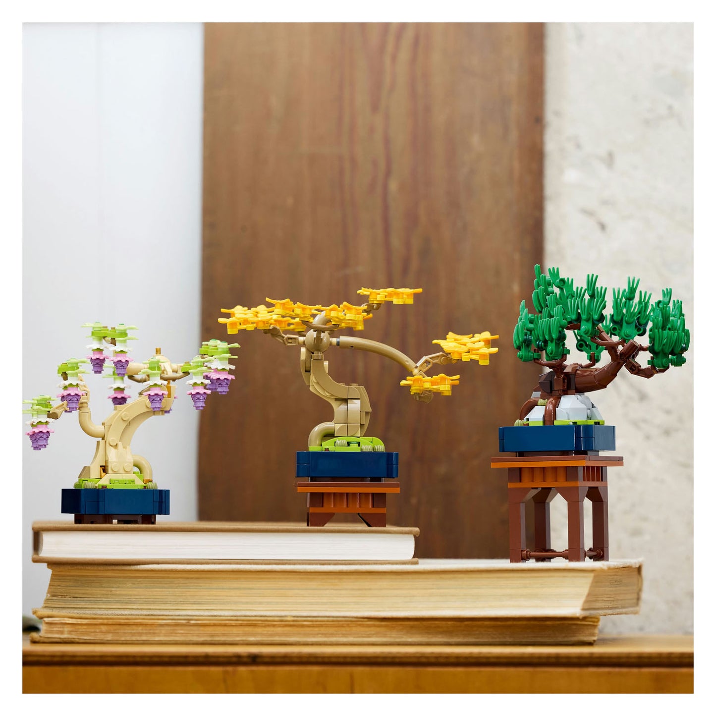 10373 Mini Bonsai Trees