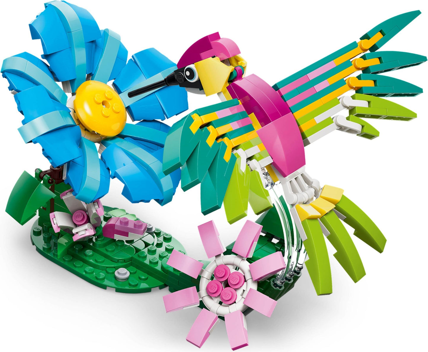 31384 Colourful Hummingbird