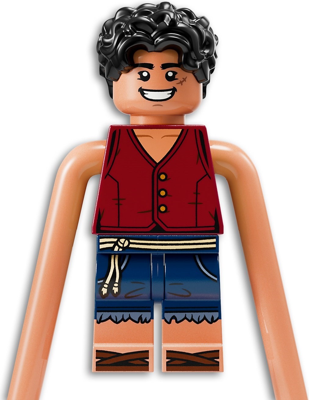 75638 LEGO One Piece Battle at Arlong Park