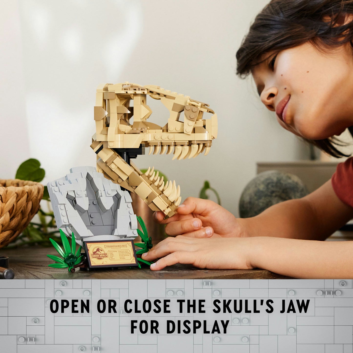 76964 Dinosaur Fossils: T. rex Skull
