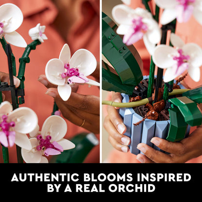 10311 LEGO Botanicals Orchid