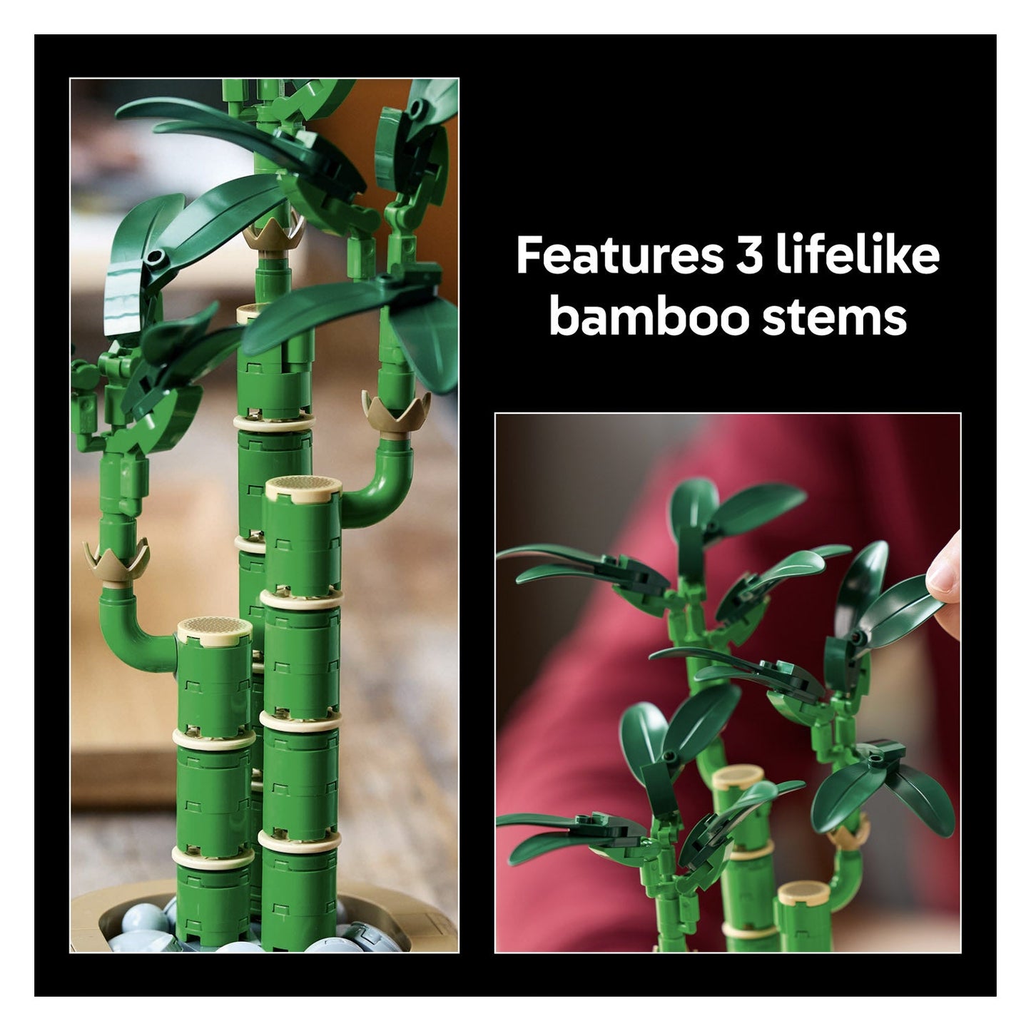 10344 LEGO Botanicals Lucky Bamboo