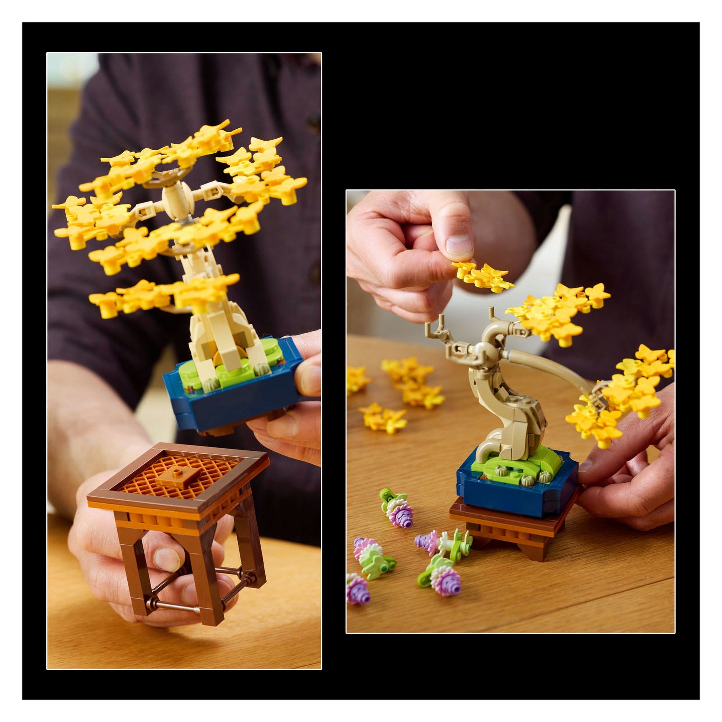 10373 Mini Bonsai Trees