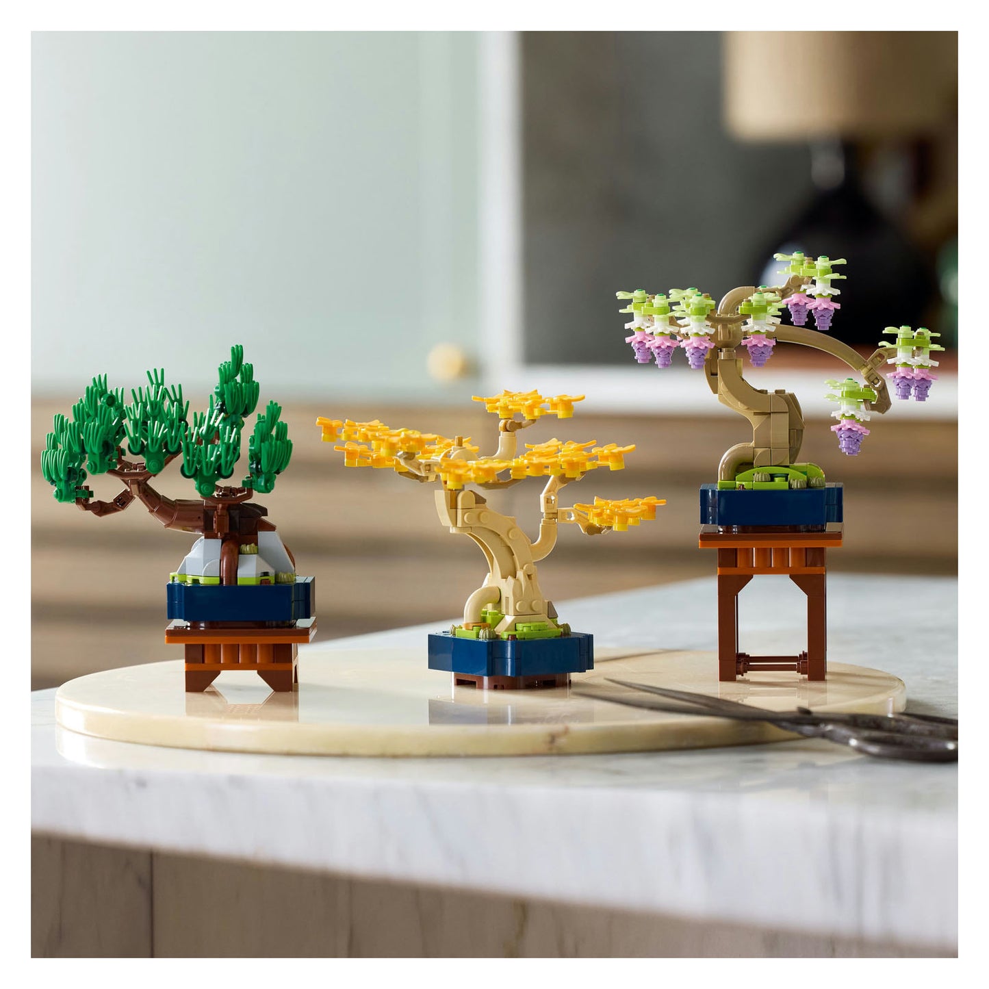 10373 Mini Bonsai Trees