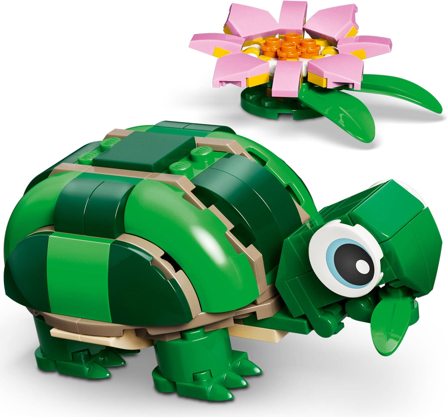 31377 Turtle with a Water Lily