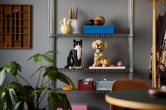 11384 Golden Retriever Puppy