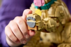 11384 Golden Retriever Puppy